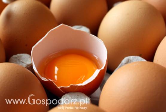 Polskie jaja do Bułgarii