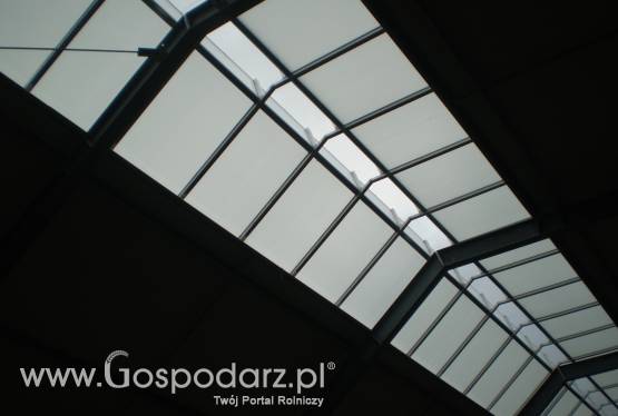 Świetliki kalenicowe