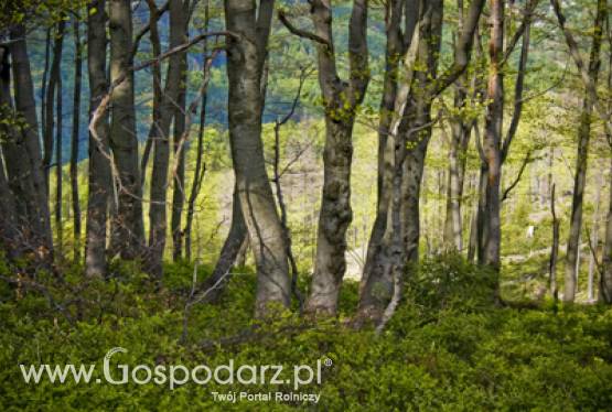 Europejski Kongres Edukacji Rolniczej i Leśnej „Promocja PROW 2007-2013 poprzez działania edukacyjne”