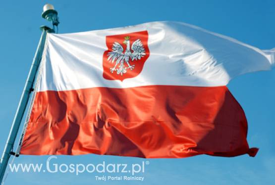 Polsko-niemieckie konsultacje międzyrządowe