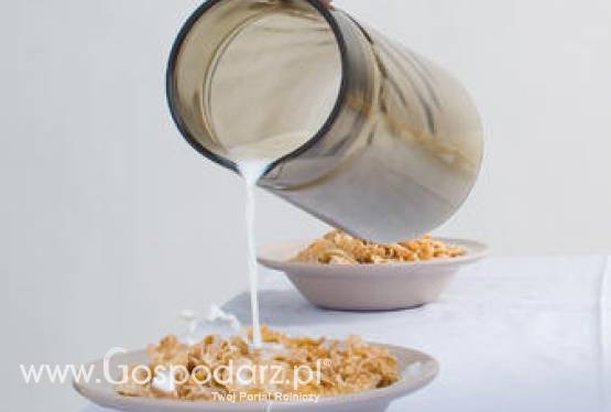 Austria – Wzrost produkcji mleka