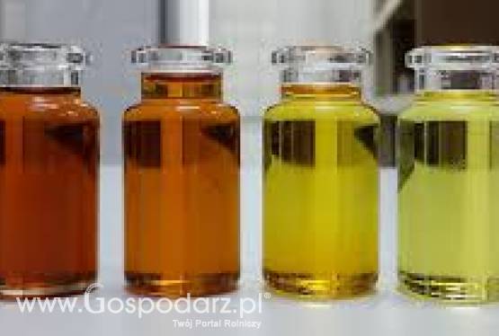 Oleje, śruty, makuchy, gliceryna, estry, glikole