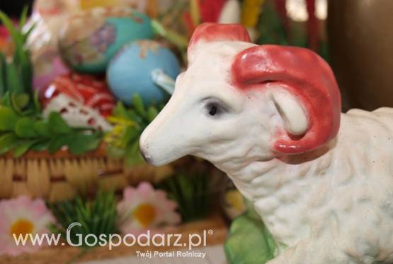 Wielkanocne potrawy z wiosną w ogrodzie