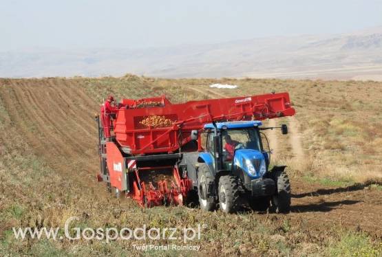 Kombajn do ziemniaków RJA2060 DEWULF