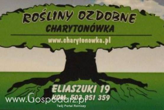 Szkółka Roślin Ozdobnych Charytonówka