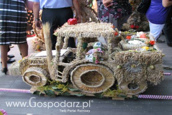 Dożynki wojewódzkie udane - plony mniej
