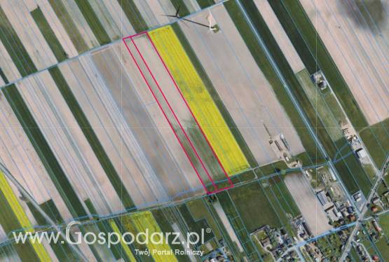 Działka rolna 5,2 ha Goworowo