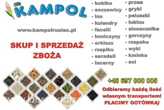 Kupię kminek groch proso łubin facelia pszenica jęczmień peluszka itp