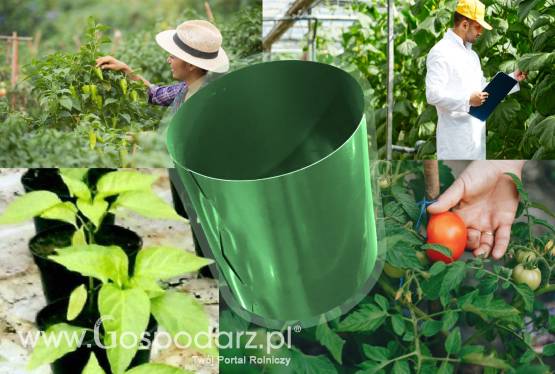 Producent - Doniczki, Opaski, pierścienie spinane - pikowanie, rozsada, uprawa