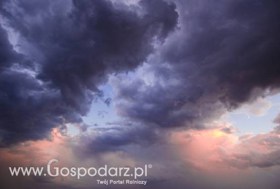 Monitoring suszy rolniczej