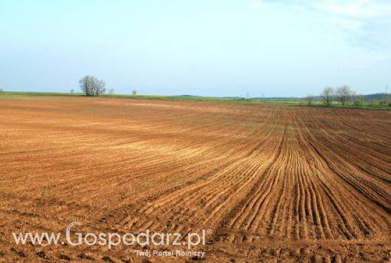 Stan dzierżaw na koniec 2010 r.