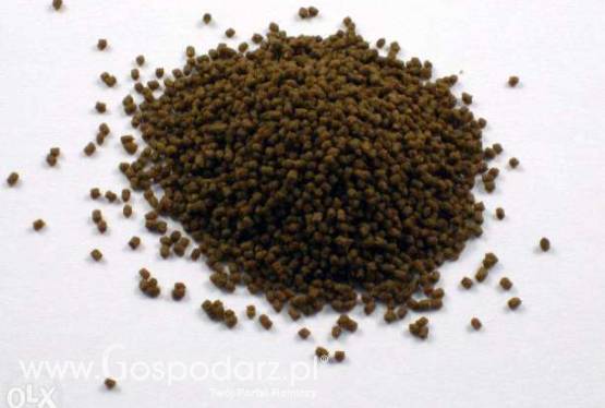 karma pokarm dla ryb karp pstrąg