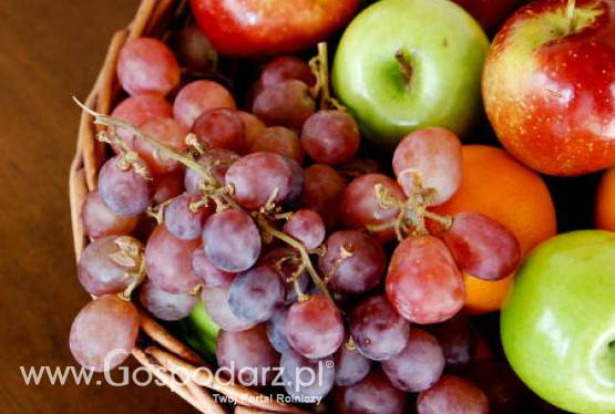 Spotkanie z przedstawicielami grup i organizacji producentów owoców i warzyw