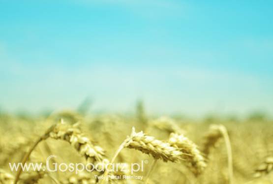 Program wieloletni o ochronie roślin uprawnych