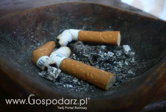 Australia – Najostrzejsze przepisy antynikotynowe oraz inwestycja w branżę tytoniową