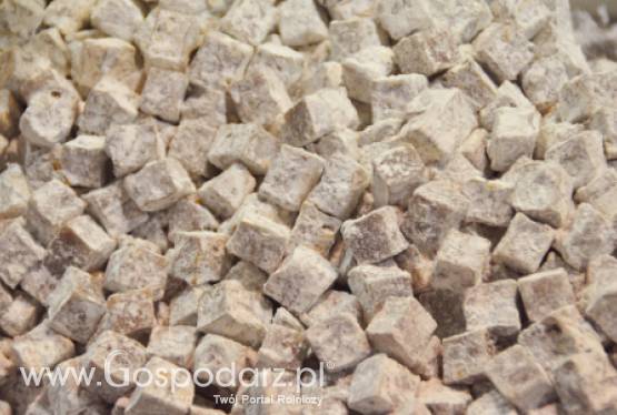 Brazylia – Będą większe zbiory trzciny cukrowej