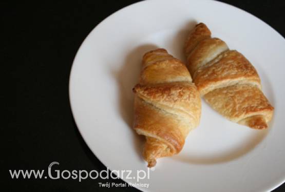 Rogale świętomarcińskie w Brukseli