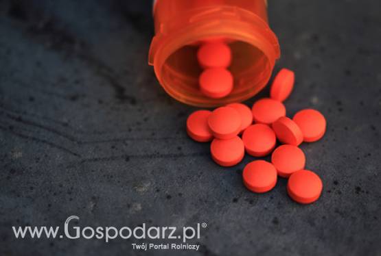 Wartość rynku L-karnityny osiągnie prawie 128 mln dolarów w 2017 roku