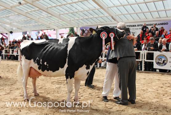 VII Ogólnopolska Wystawa Bydła Hodowlanego „Sielinko 2012”