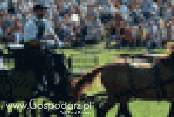 XV Pożegnanie Wakacji w Rudawce Rymanowskiej