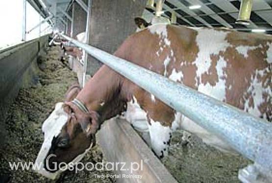 Uchylny żłób Pellon