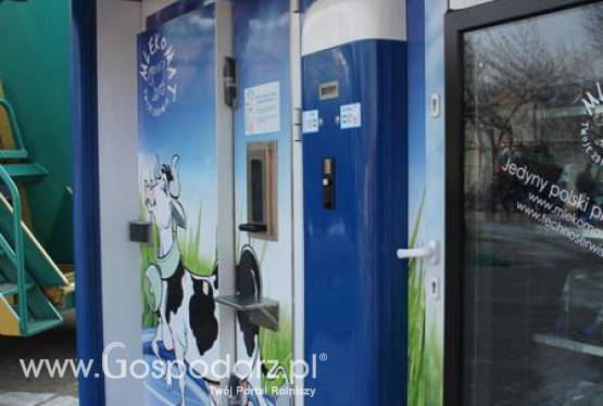 Mleko prosto od krowy ma coraz więcej zwolenników