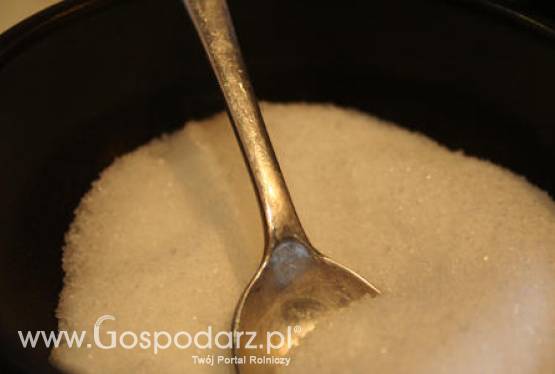 Dezinformacja na temat rozporządzenia zastępczego w sprawie porozumienia cukrowni z plantatorami