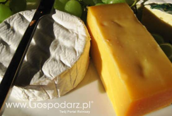 USA – Wzrost produkcji serów