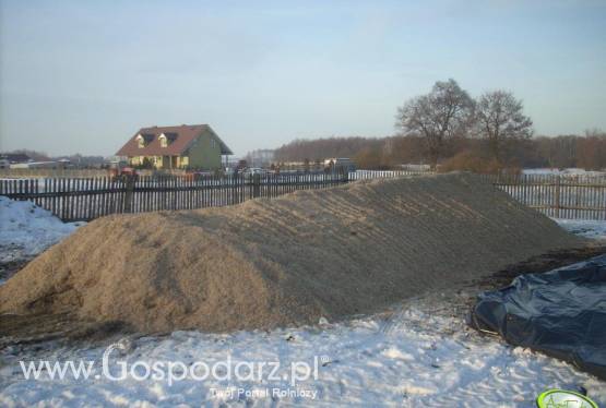 Wysłodki buraczane mokre,prosto zsypu świeżutkie