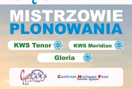 Kwalifikowany materiał siewny zbóż ozimych