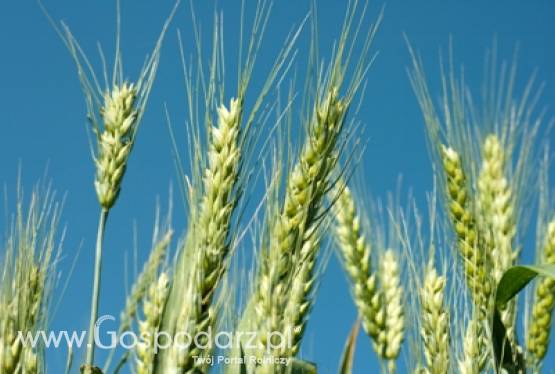 Reforma WPR do 2020 r. przedmiotem rozmów ministra Marka Sawickiego w Brukseli