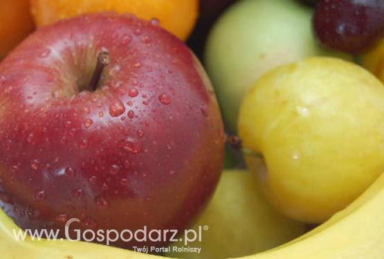 Chcesz dostarczać owoce i warzywa do sieci handlowych? Teraz będzie potrzebny do tego nowy certyfikat.