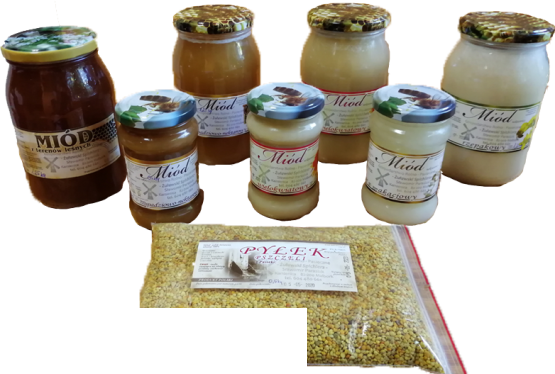 Miód wielokwiatowy - CZERWIEC 2021 - prosto od pszczół