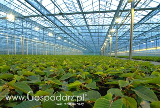 Sukcesy polskiego ogrodnictwa