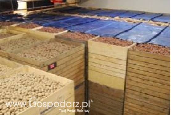 System wentylacyjny ssący