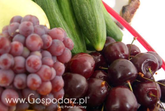 Program „Owoce w szkole” – spotkanie w Komisji Europejskiej