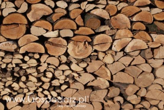 Konferencja „Udział biomasy w realizacji celów Dyrektywy 2009/28/WE”