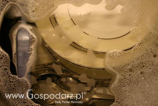 Portugalia - Mycie naczyń a produkcja biodiesla