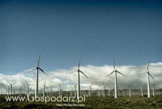 Więcej mocy z wiatru?