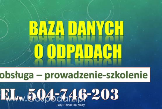 Pomoc telefoniczna, BDO, Szkolenie Baza Danych o Odpadach