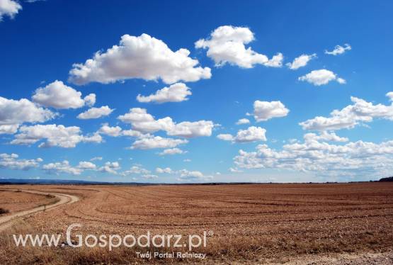 Atrakcyjnie wydzierżawię Twoją działkę rolną