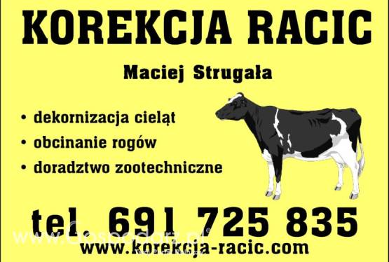 Kompleksowa korekcja racic