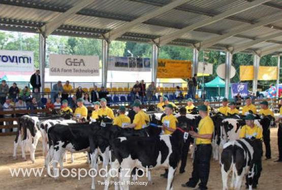 XIX Regionalna Wystawa Zwierząt Hodowlanych