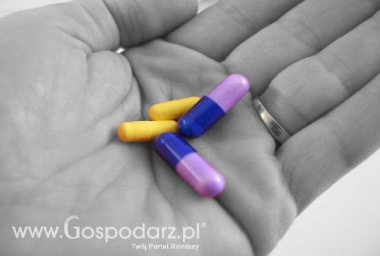 Napoje energetyzujące są wzbogacane witaminami