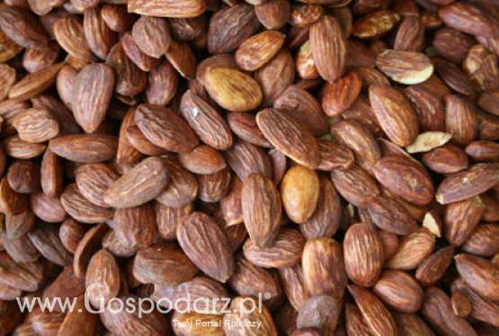 Rynek unijnych migdałów