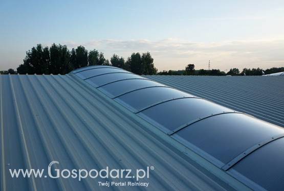 ŚWIETLIKI   POŁACIOWE