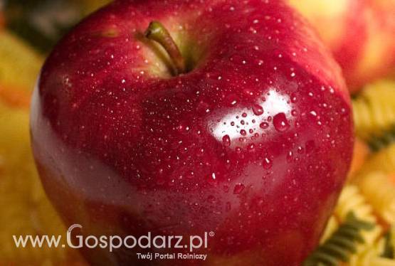 Eksport jabłek na Wschód nadal stoi w miejscu pomimo nawiązanego porozumienia