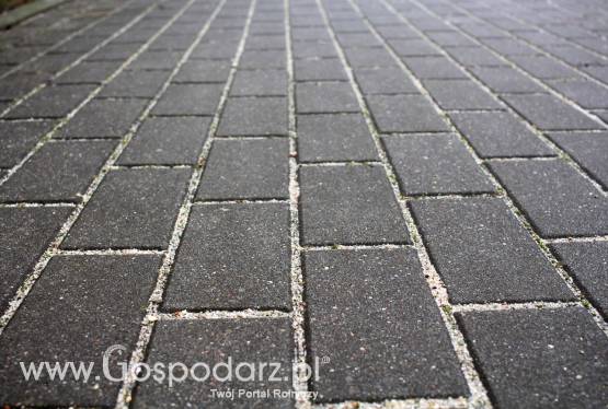 Impregnat do kostki brukowej? Mokra Kostka!