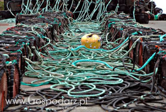 Wybór lokalnych grup rybackich