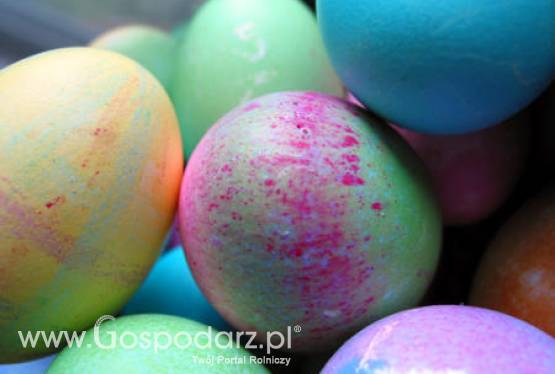 Spotkanie wielkanocne